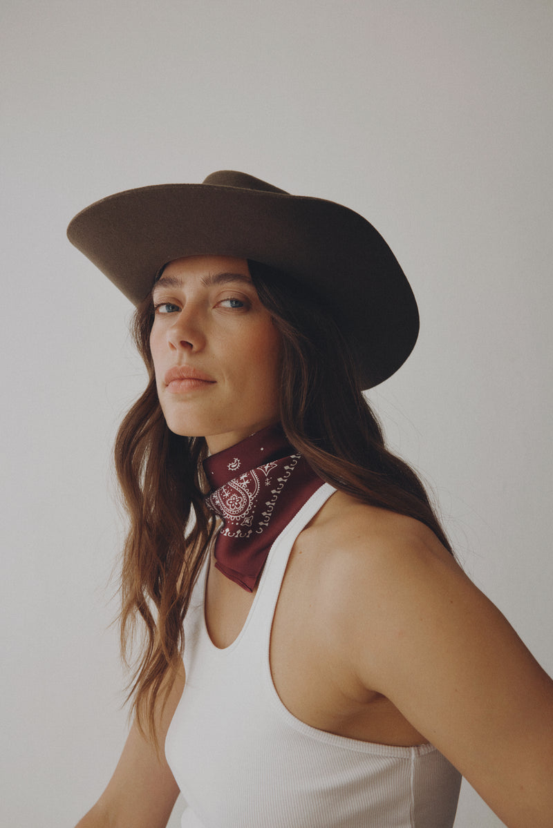 Brown Canyon Bandana