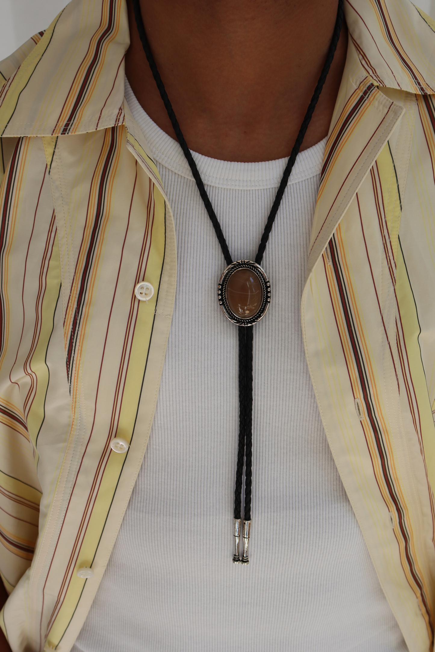 Brown aye Bolo tie